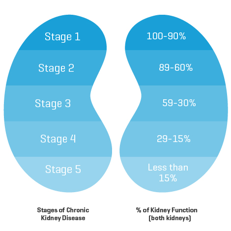 2. BAXTER_DTP_SubPage _ABOUT_Chronic Kidney Disease Stages.jpg